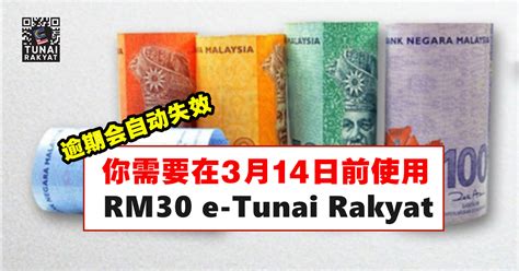 RM30 e.